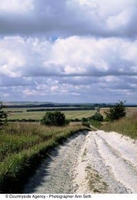 NW_The Ridegway